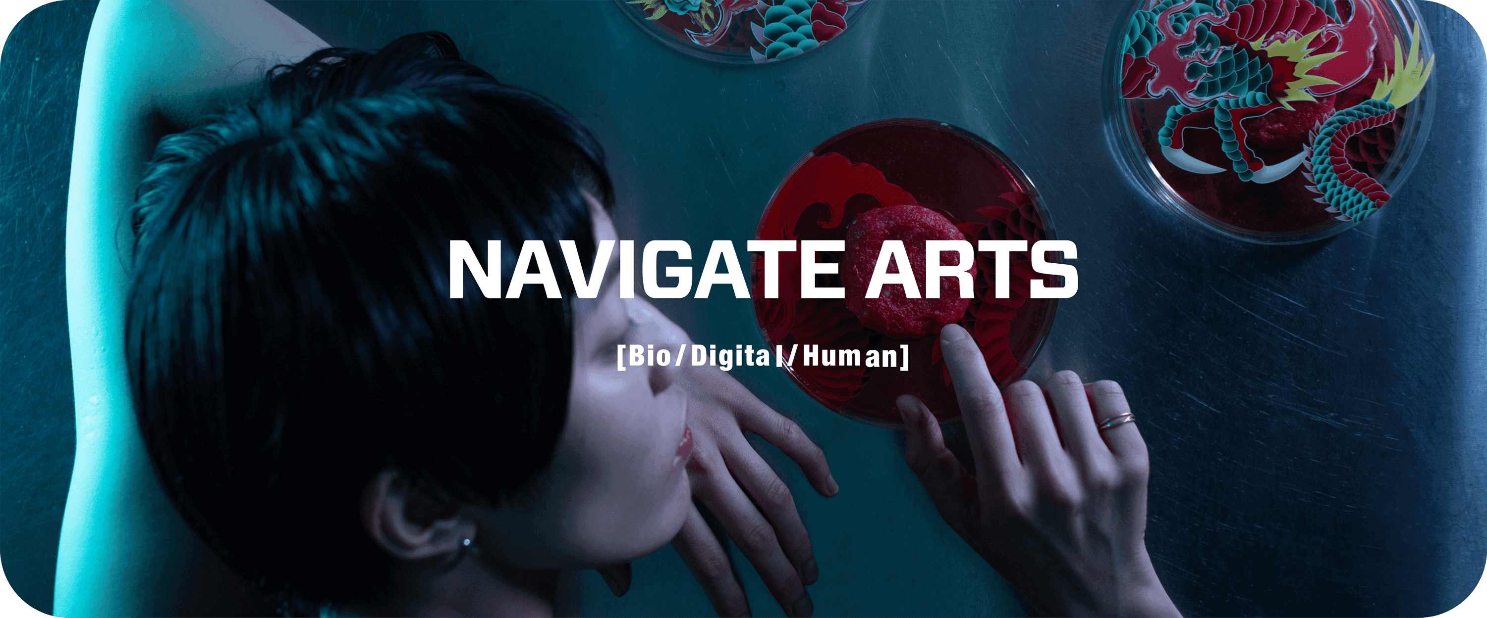 NAVIGATE ARTS