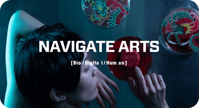 NAVIGATE ARTS